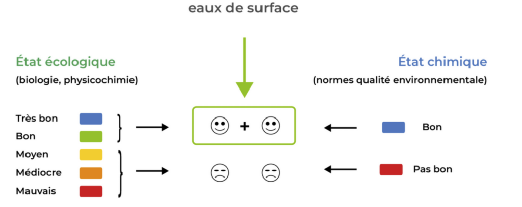 État des eaux de surface