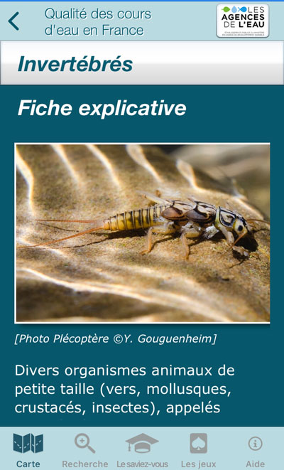 ecran-invertebre-appli-riviere